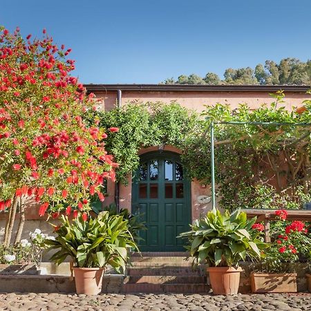 Masseria Pernice Монреале Екстериор снимка