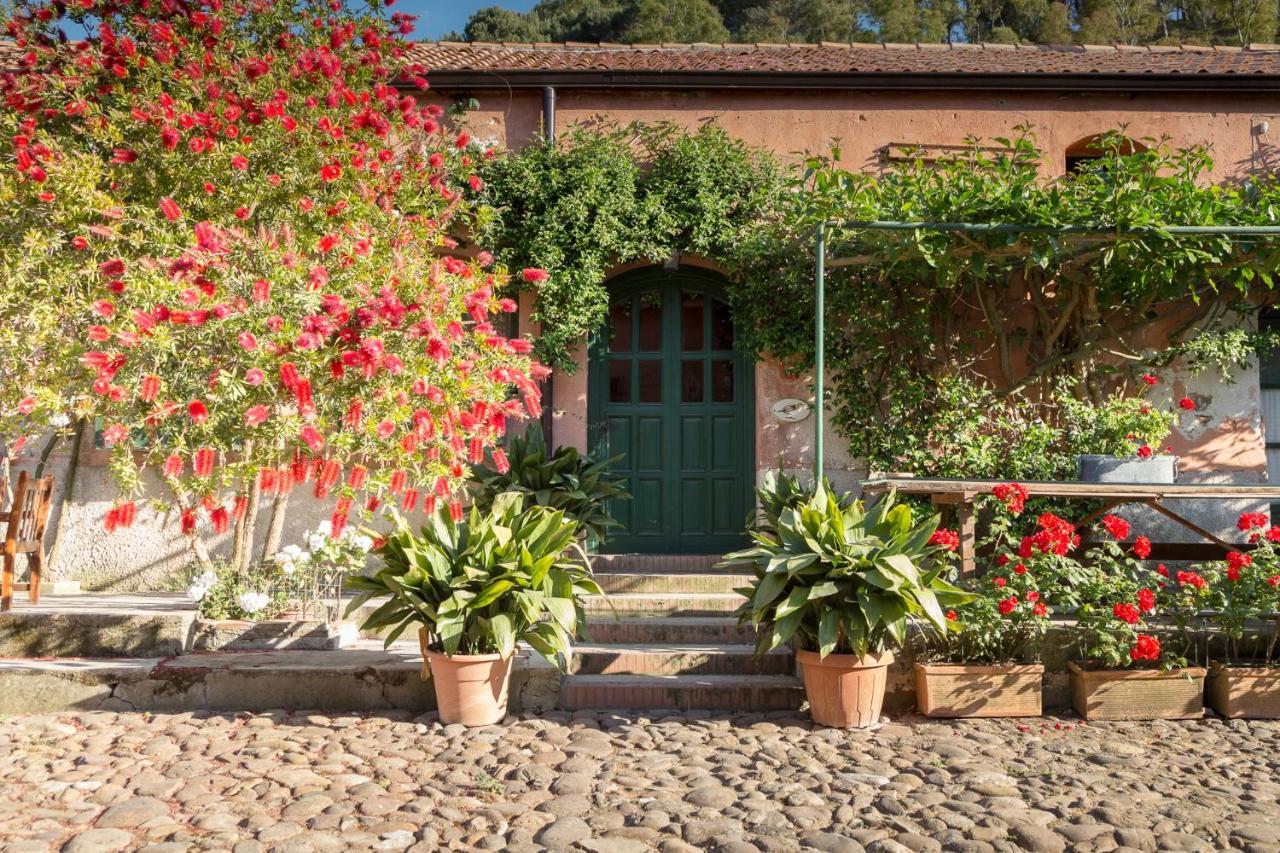 Masseria Pernice Монреале Екстериор снимка